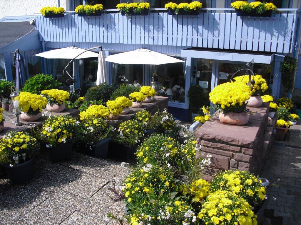 Sonnenhof Hotel Bad Herrenalb